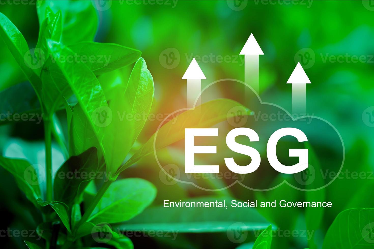 esg, ambiental, social e governança para o desenvolvimento sustentável da empresa. foto