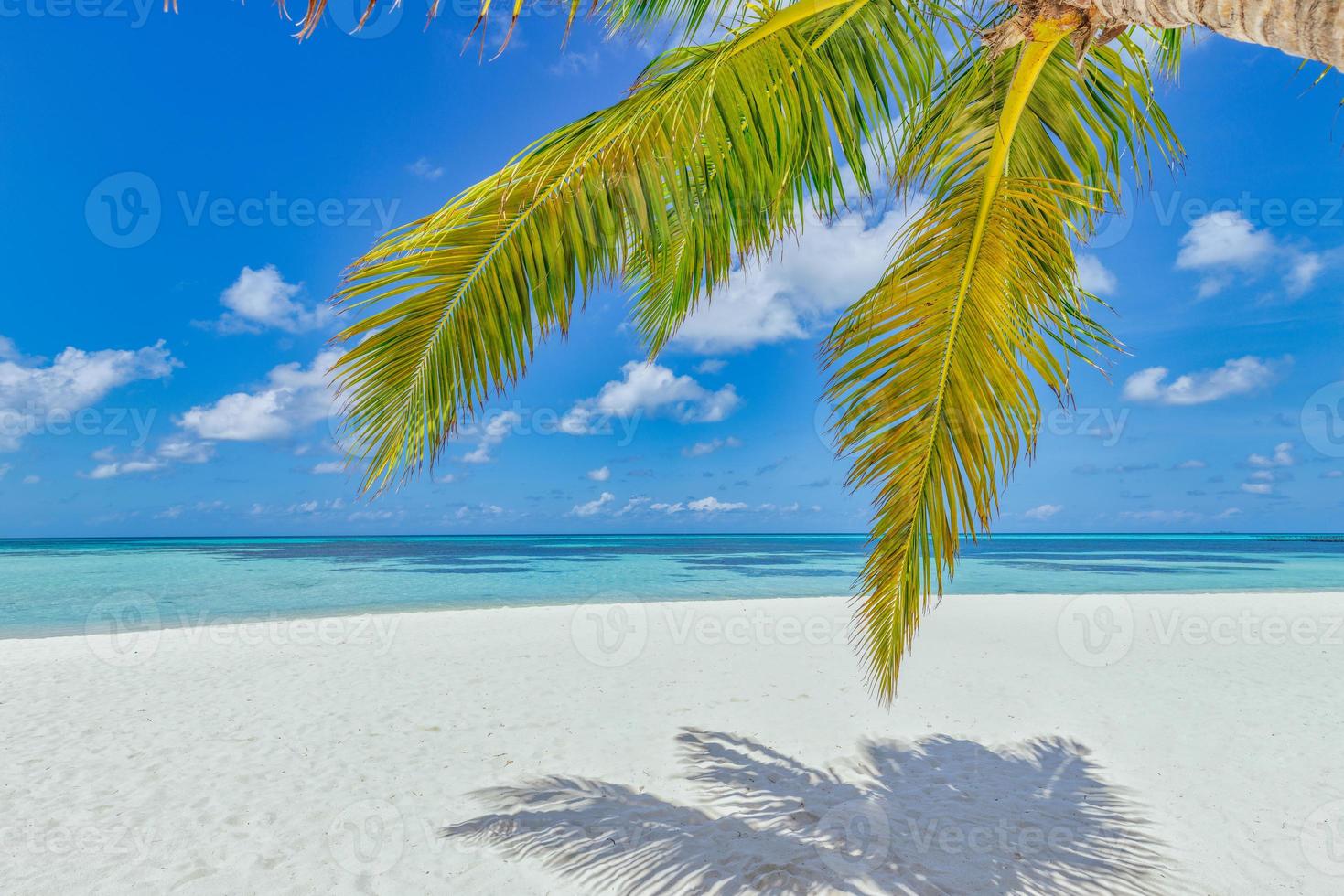 panorama da costa da praia tropical como o verão relaxa a paisagem e as folhas da palmeira sobre a faixa de praia do céu azul do mar de areia branca. incrível férias férias de verão. bem-estar feliz viagem liberdade conceito despreocupado foto