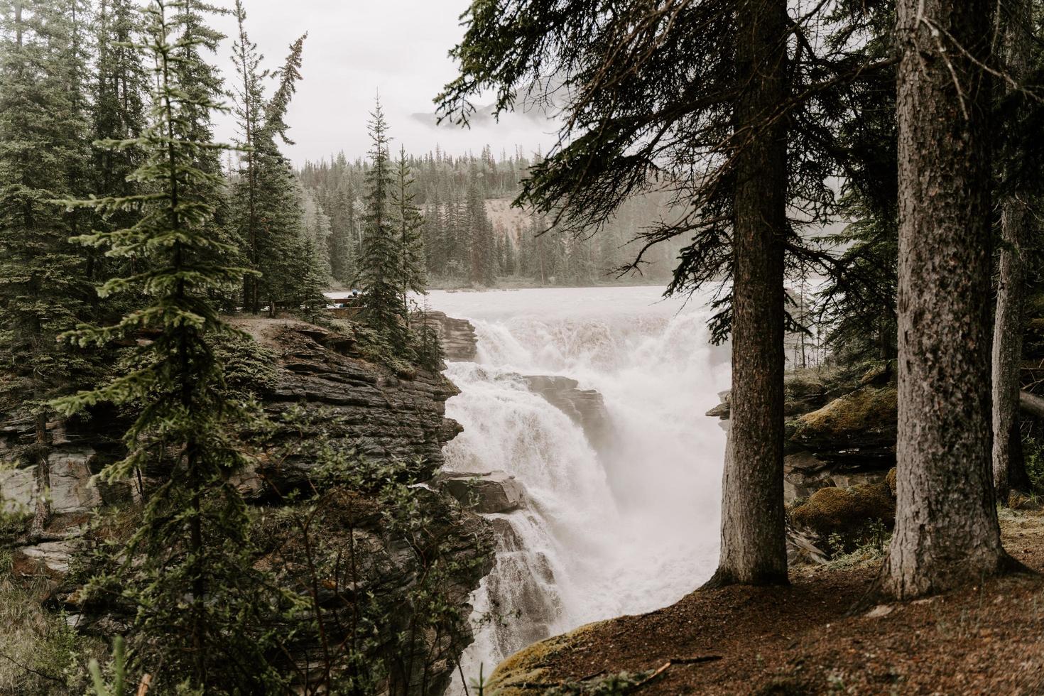 paisagem selvagem no canadá foto