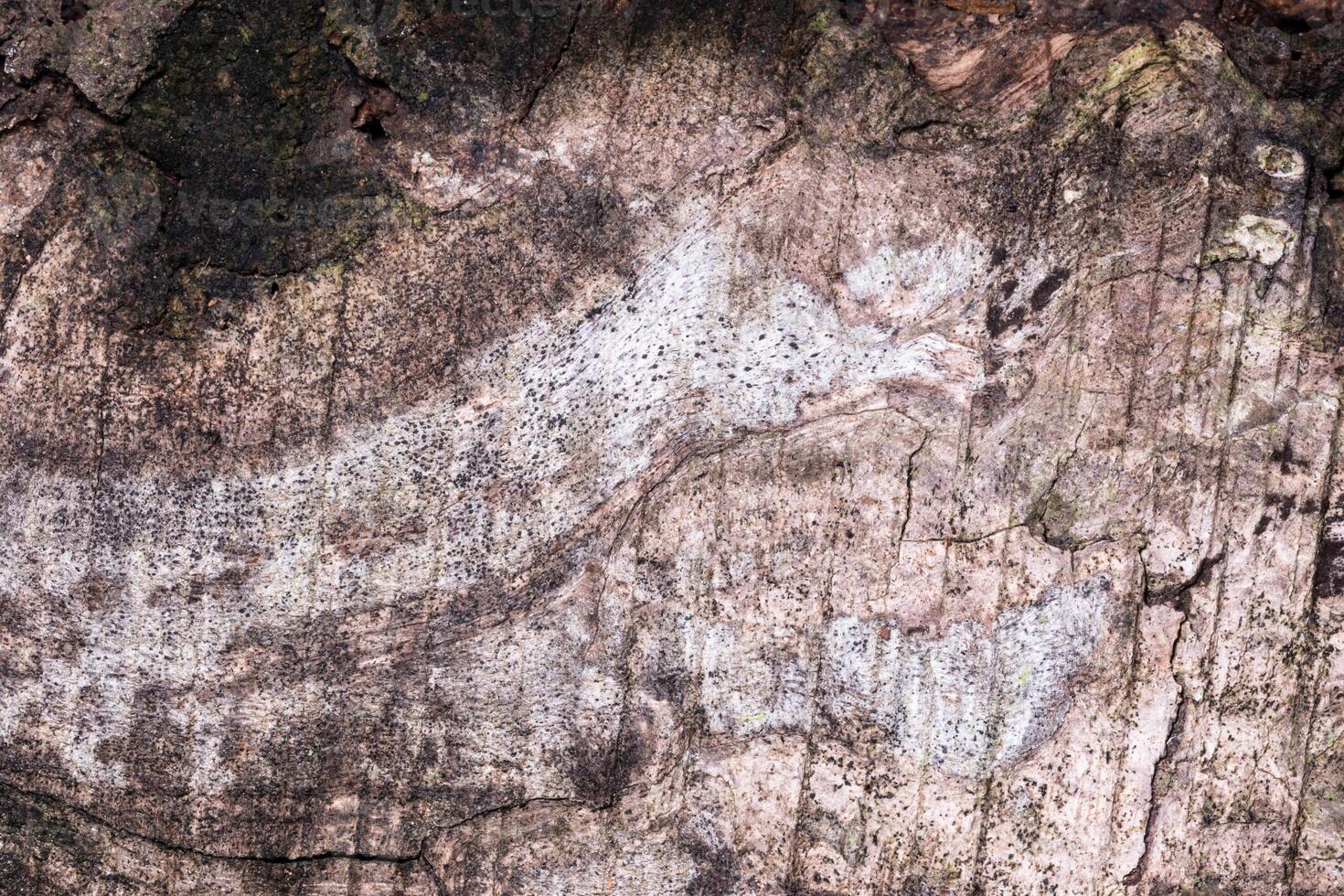 fundo de tábua de madeira velha foto