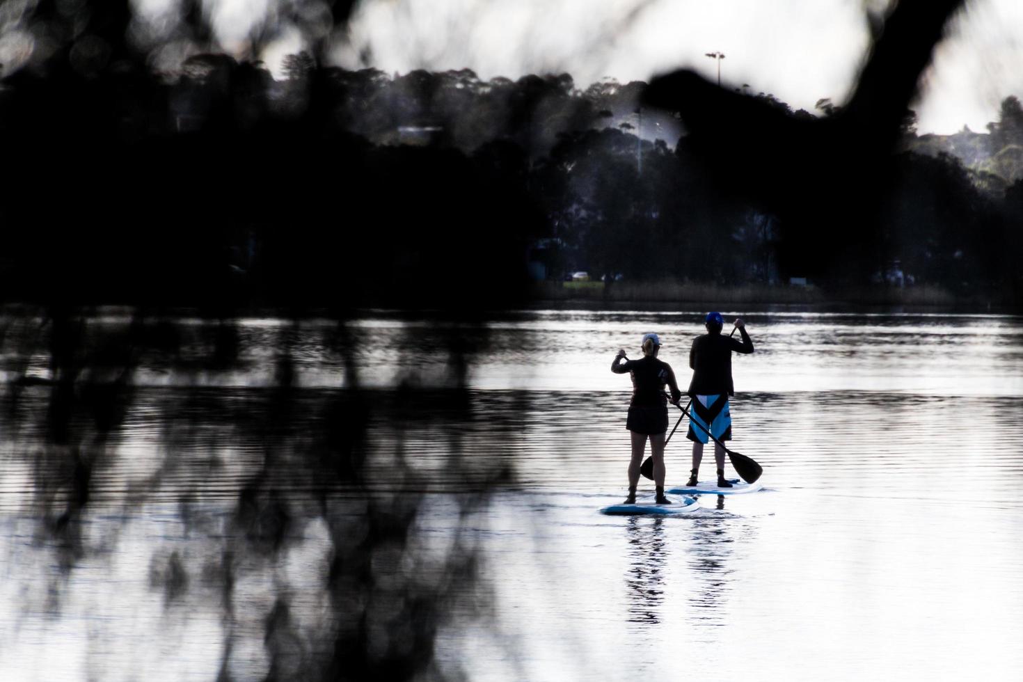 sydney, austrália, 2020 - duas pessoas stand up paddleboarding foto