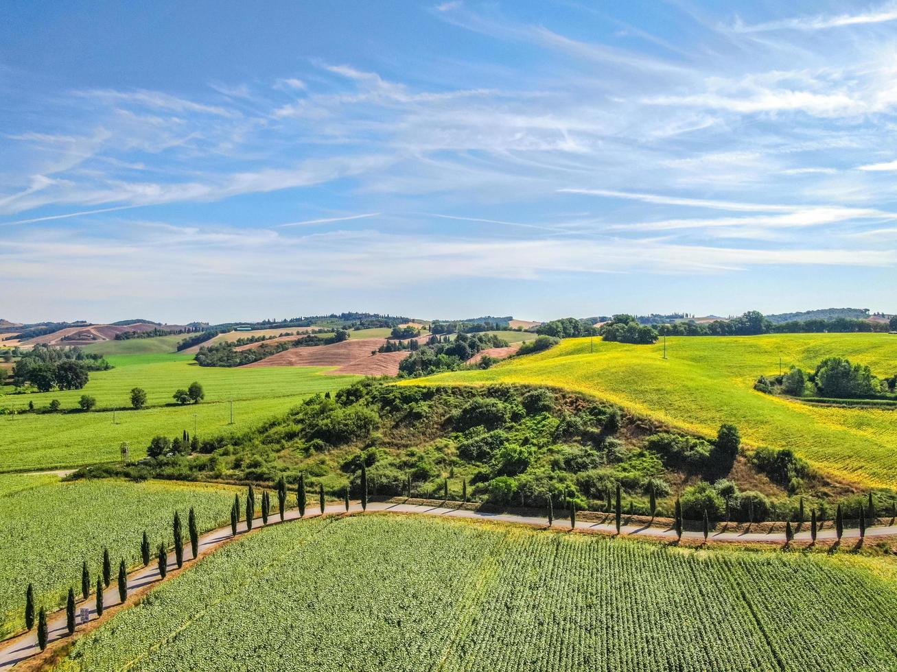 campos gramados e um céu azul foto