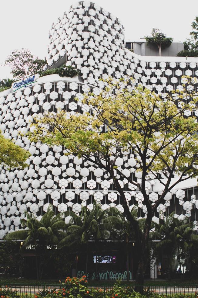 Singapura, 2020 - edifício branco moderno foto