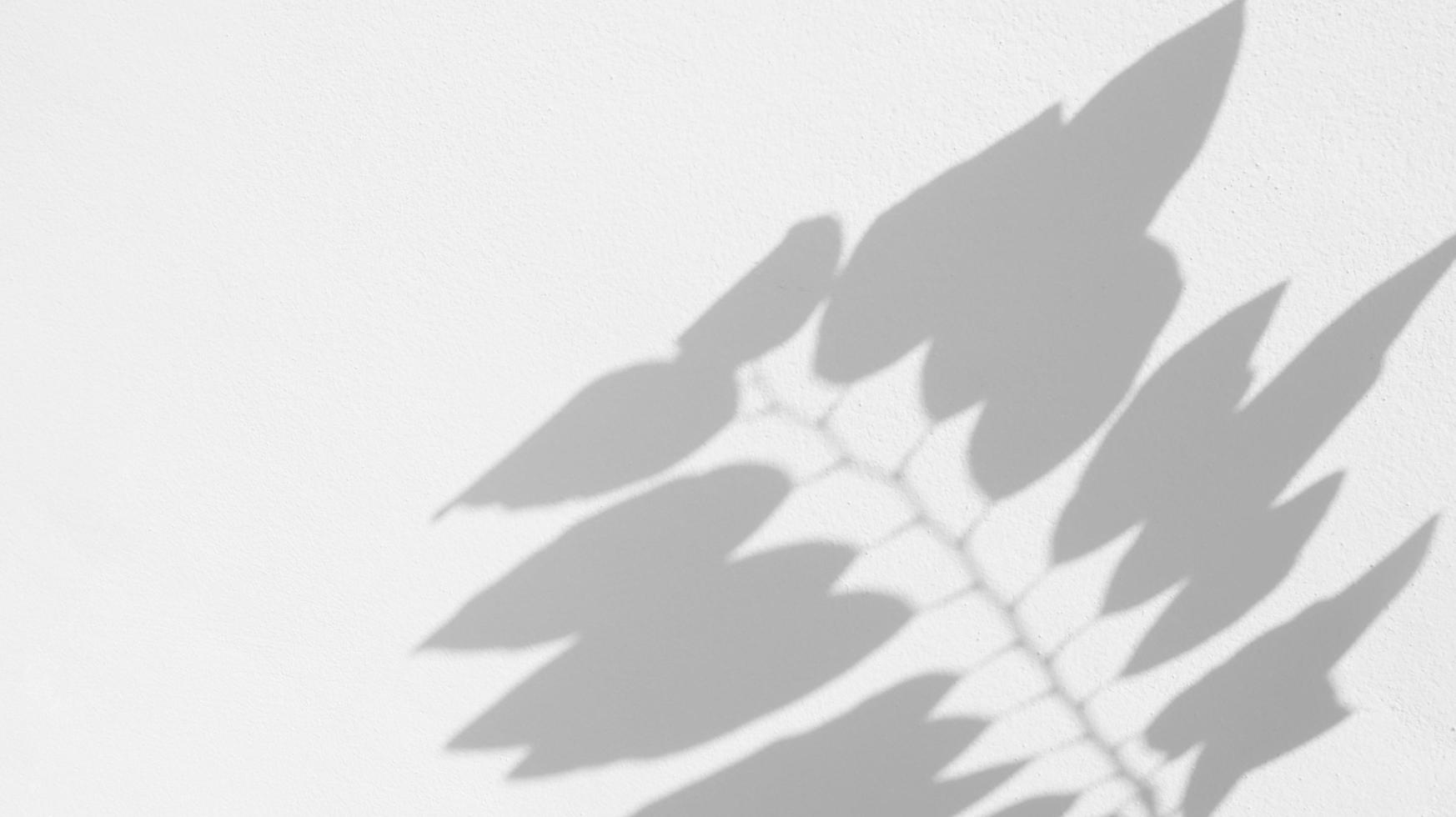textura perfeita da parede de cimento branco uma superfície áspera e sombra de folha, com espaço para texto, para um plano de fundo foto