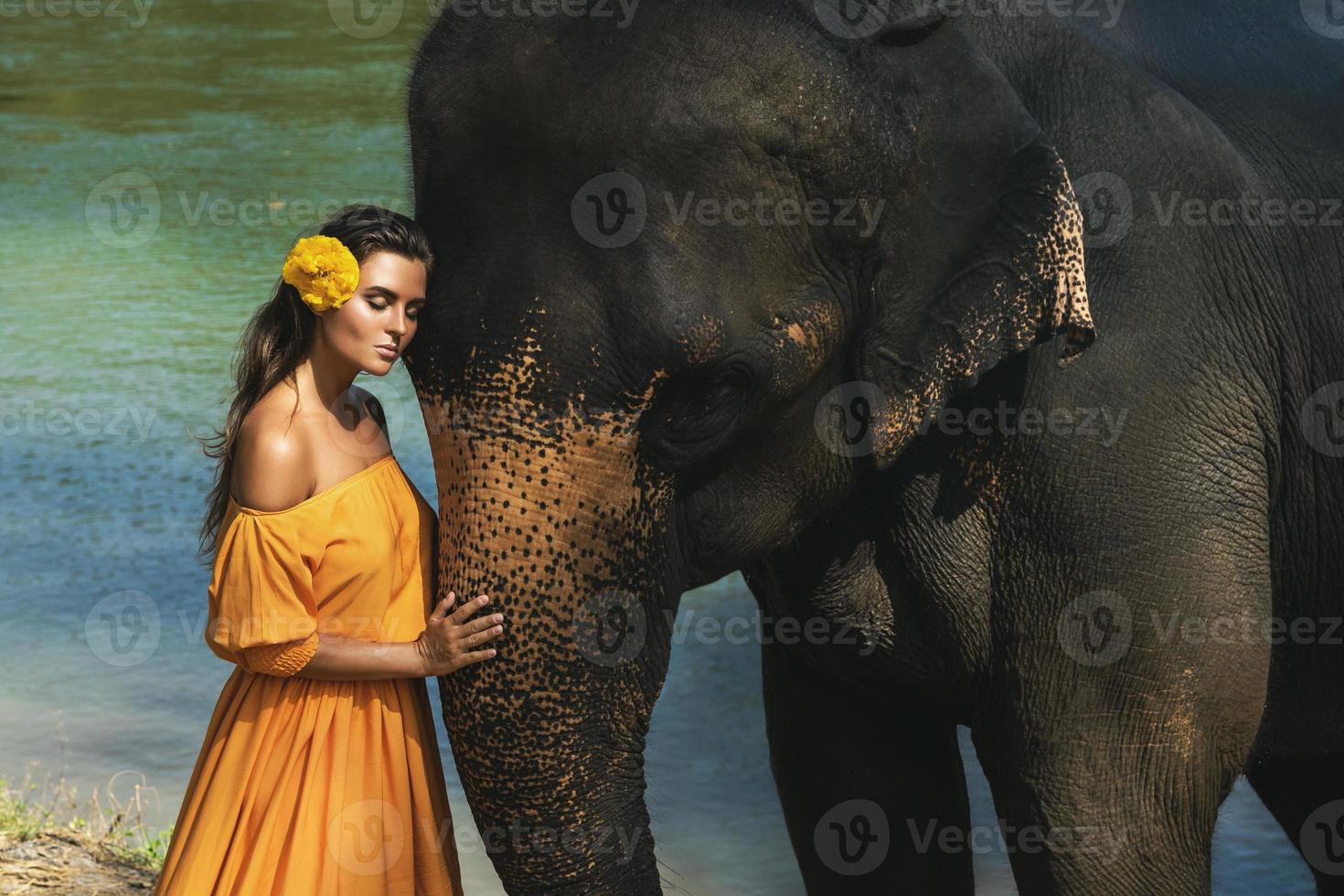 mulher em lindo vestido laranja e poderoso elefante foto