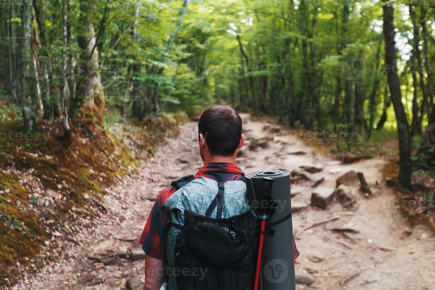 um viajante com uma mochila na floresta de primavera no caminho olha para frente. luz solar através das copas das árvores. foto