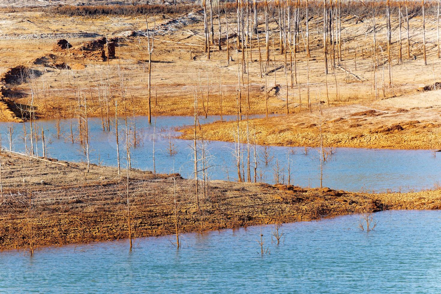 baixos níveis de reservatório de água. clima seco. falta de água. árvores mortas. mudanças climáticas e aquecimento global. não há planeta b. ação urgente para salvar o mundo. meio Ambiente. foto