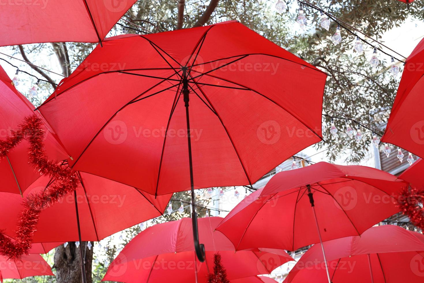 guarda-chuva no parque da cidade perto do mar. foto
