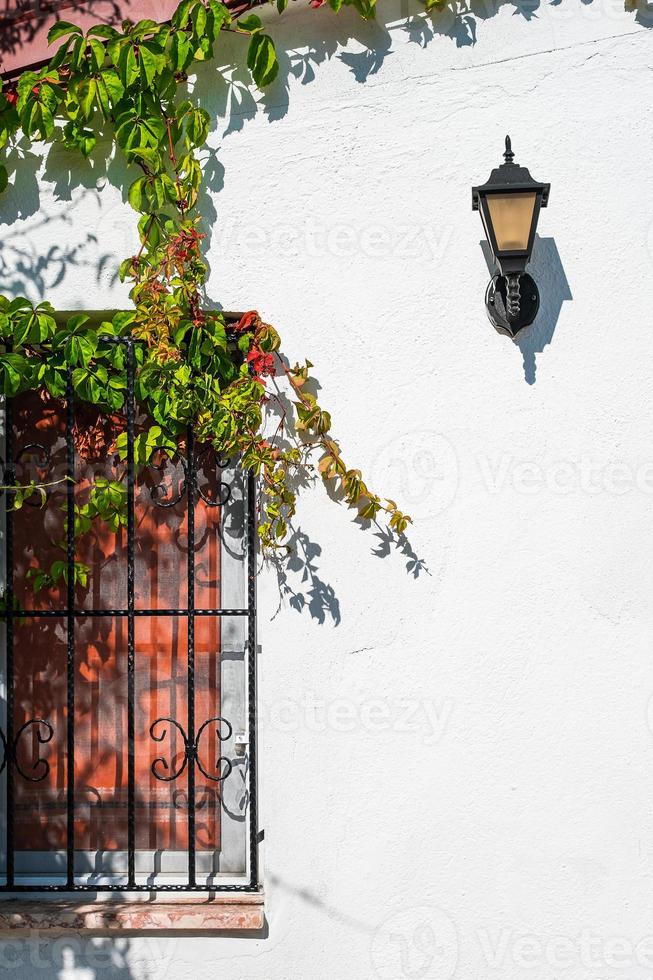 detalhes de uma casa antiga, uma janela com uma treliça coberta de hera em uma parede rebocada branca, região mediterrânea. ideia de fundo sobre viagens e casas foto