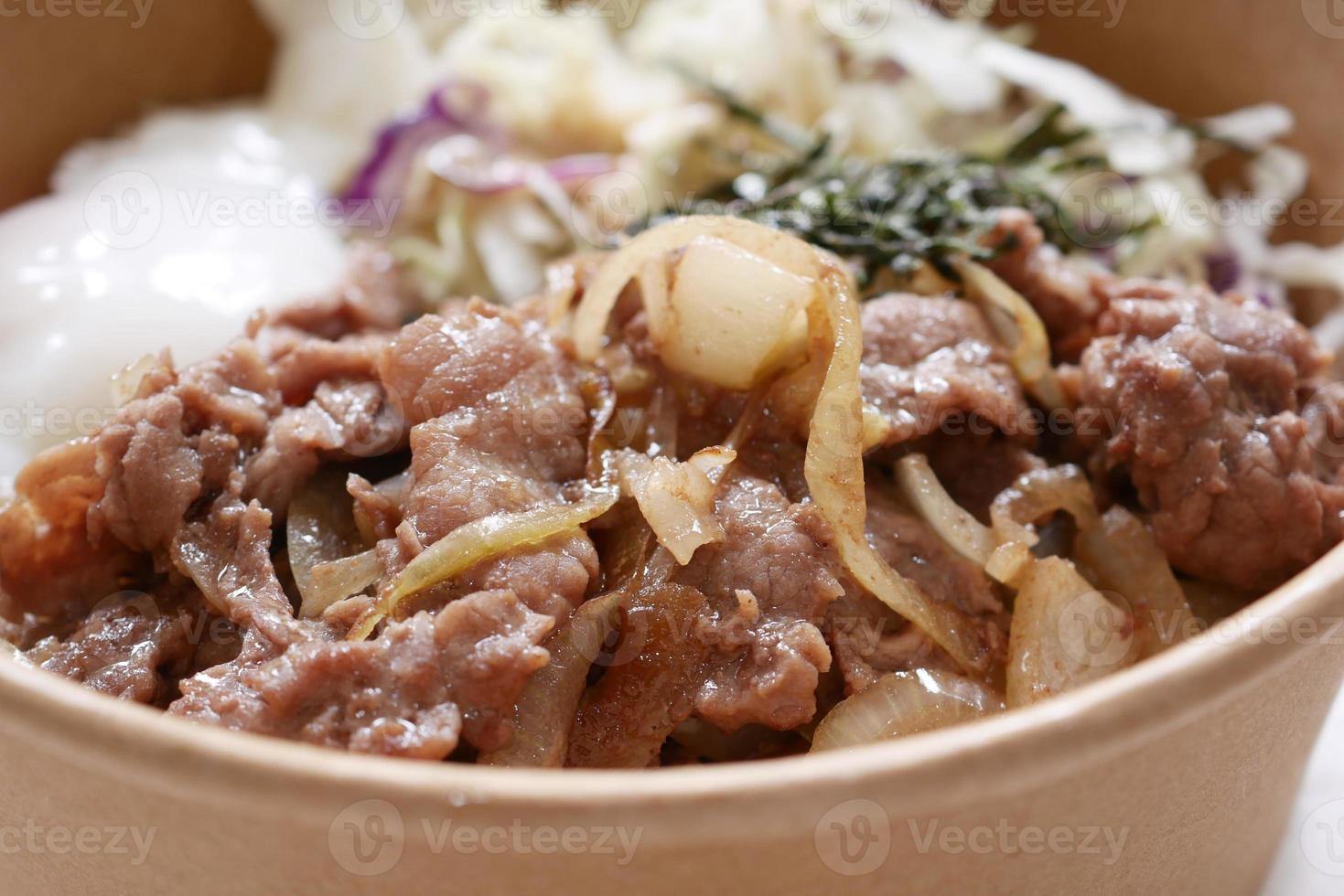 carne de frango de singapura e arroz em um prato foto