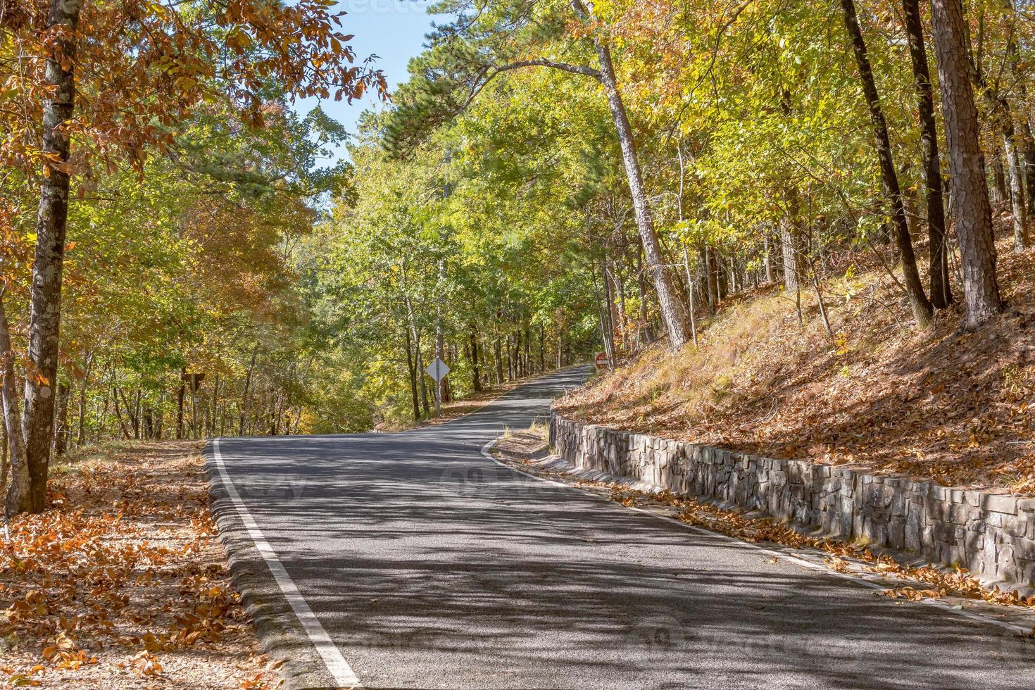 um dia ensolarado de outono em uma floresta de arkansas. foto