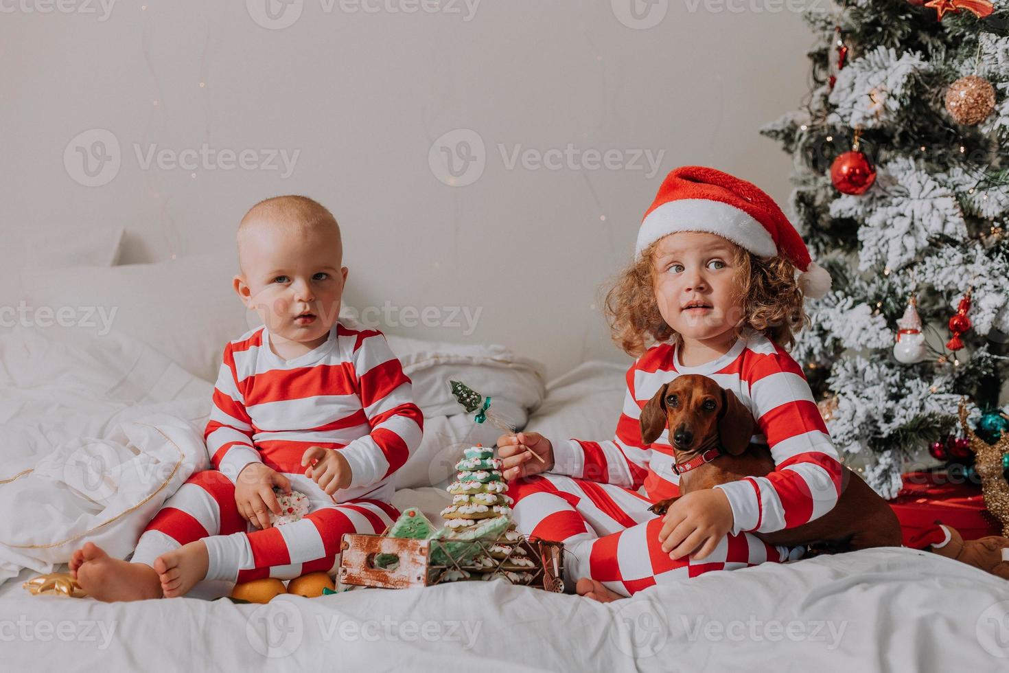 crianças de pijama vermelho e branco sentadas na cama compartilham doces de natal umas com as outras e com o cachorro. irmão e irmã, menino e menina comemoram o ano novo. espaço para texto. foto de alta qualidade