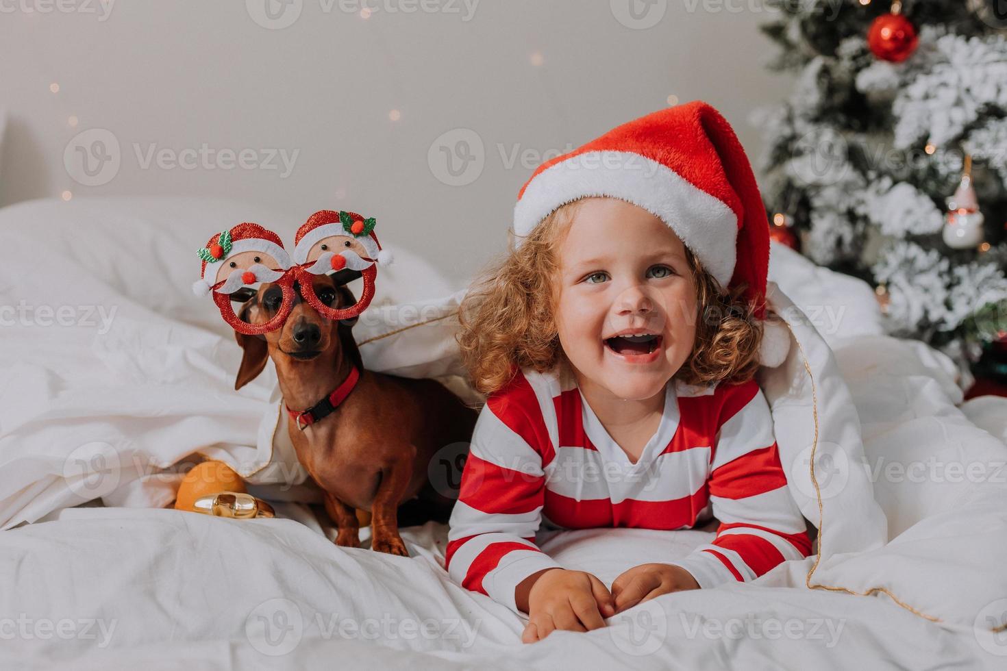 menina de pijama listrado e um chapéu de papai noel e cachorro de óculos engraçados com papai noel estão deitados na cama em um lençol branco no contexto da árvore de natal. espaço para texto. foto de alta qualidade