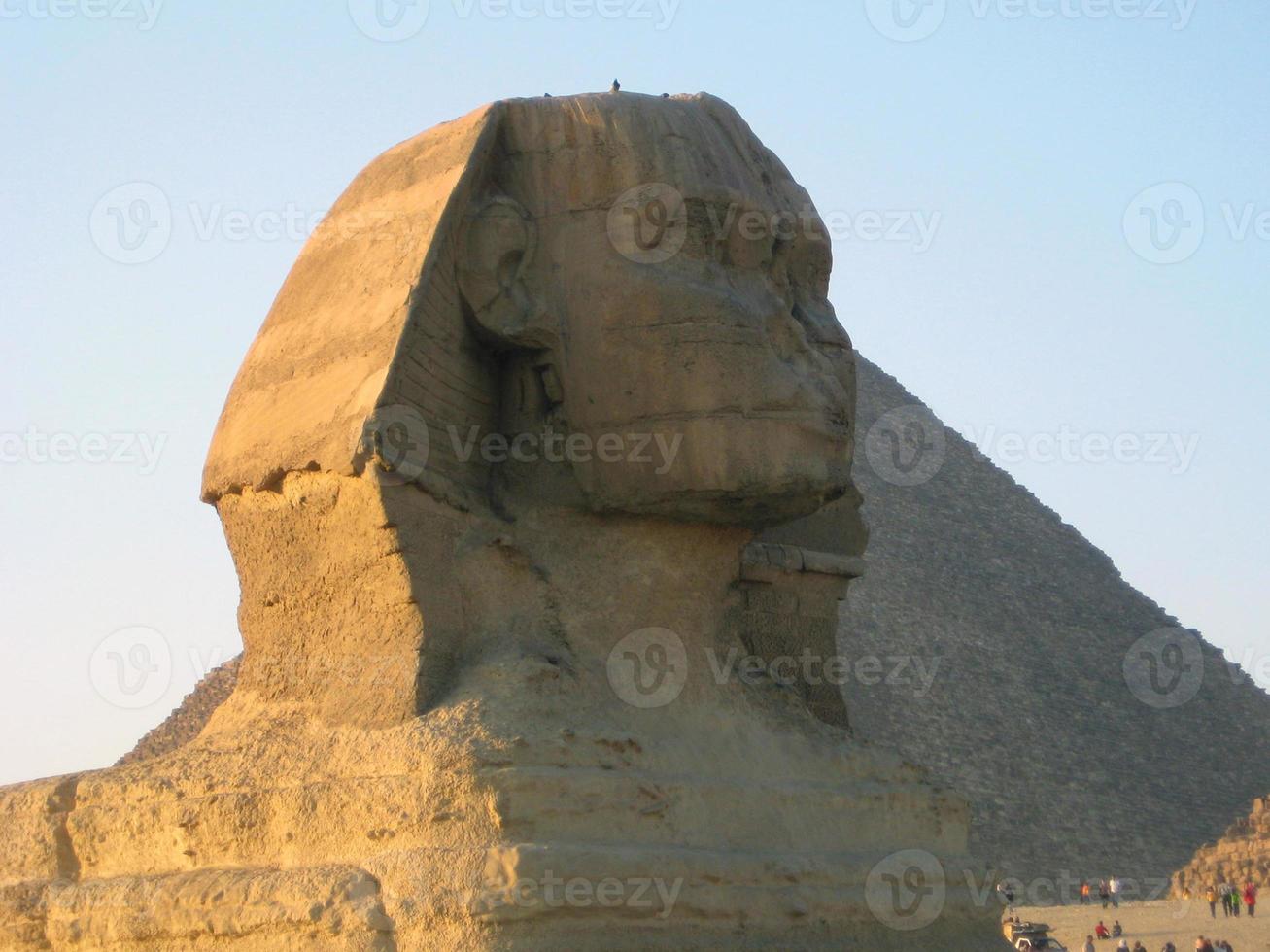 a estátua da esfinge em gizé, cairo, egito foto