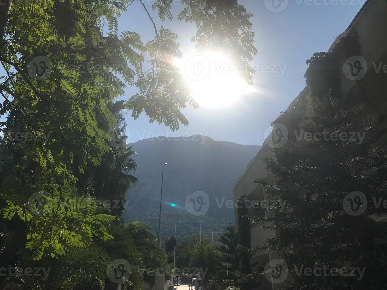 nascer do sol luz solar paisagem vista montanhas na manhã de verão com vale do prado e floresta de abetos foto