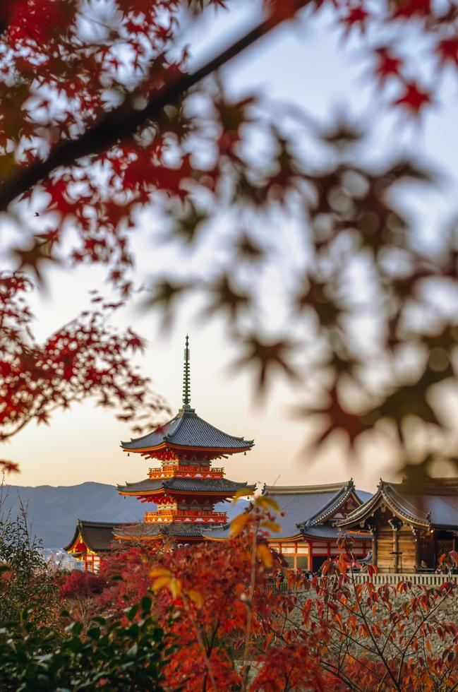 pôr do sol no templo kiyomizu-dera e folhas de plátano coloridas na temporada de outono em kyoto, japão. foto