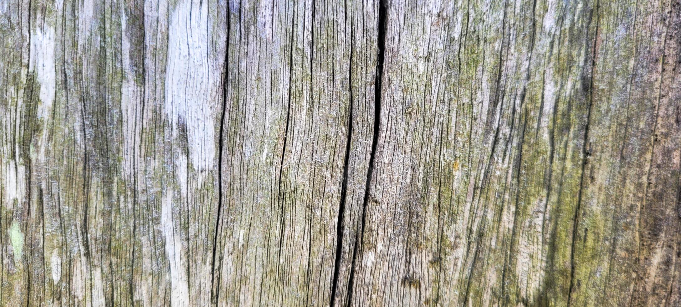 tronco de madeira velho rústico com textura foto