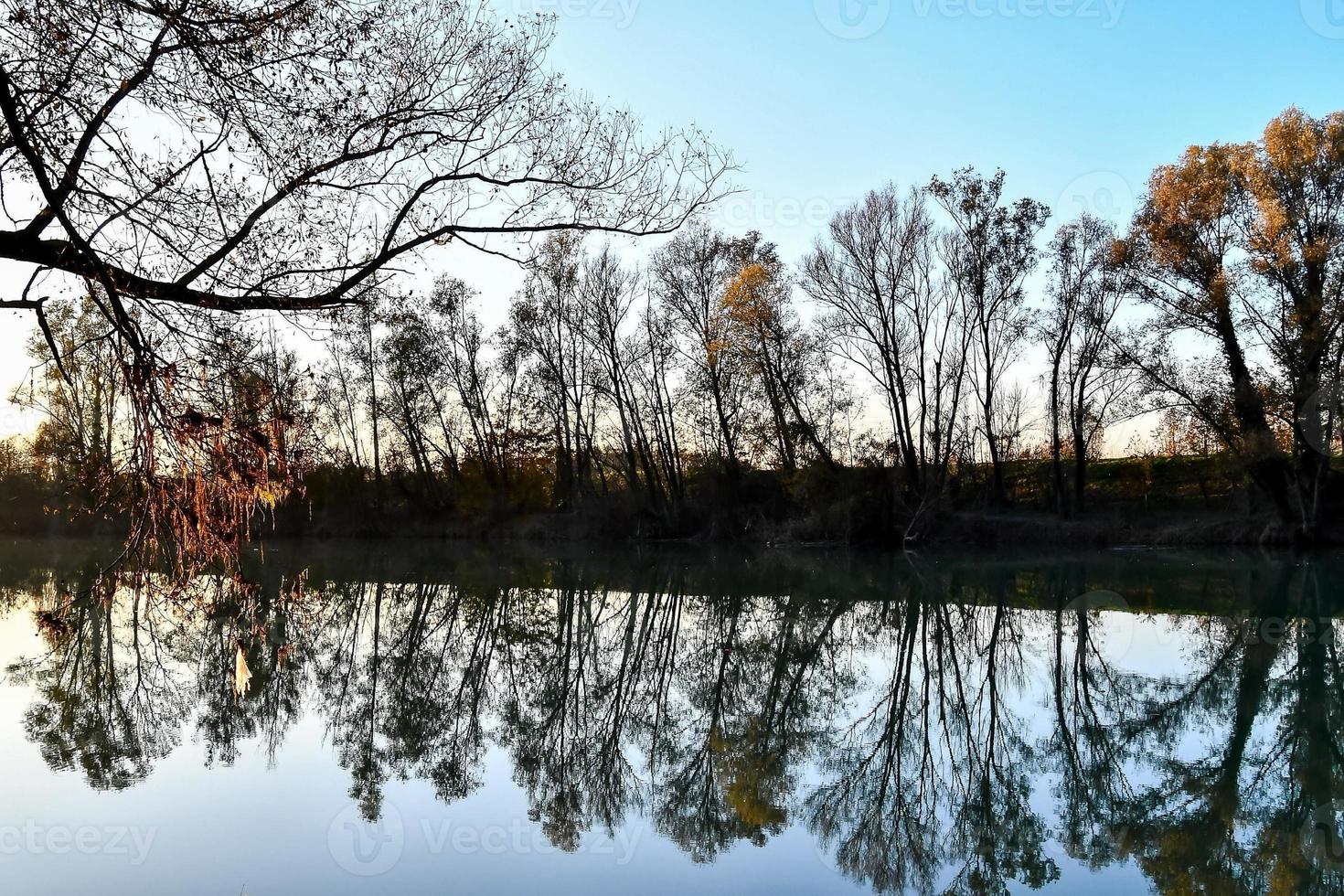 paisagem de inverno foto