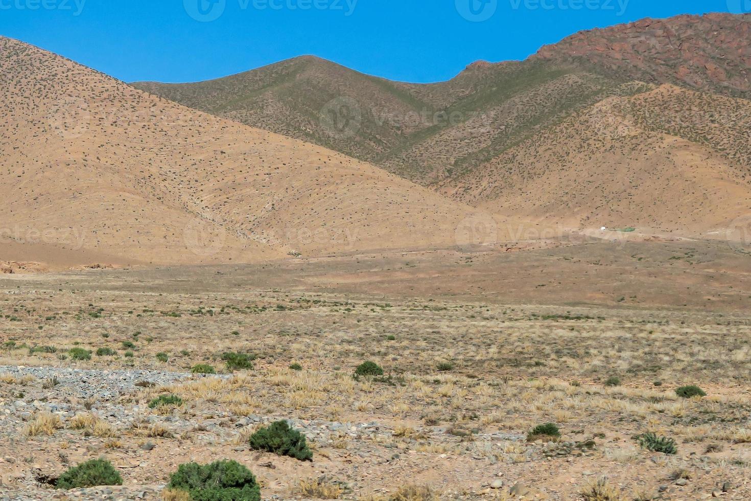 paisagem de dunas do deserto foto