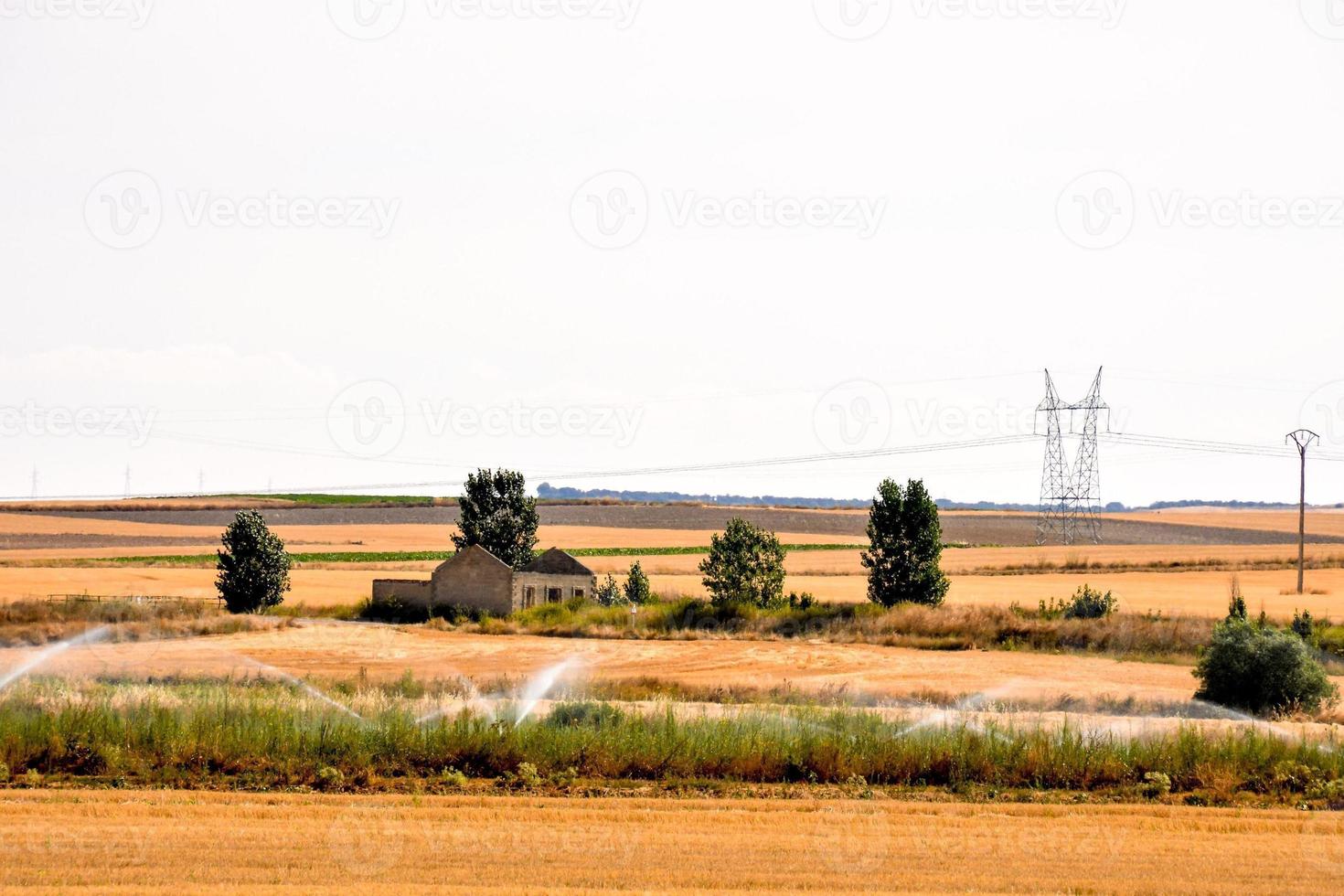 vista de corte de terras agrícolas foto