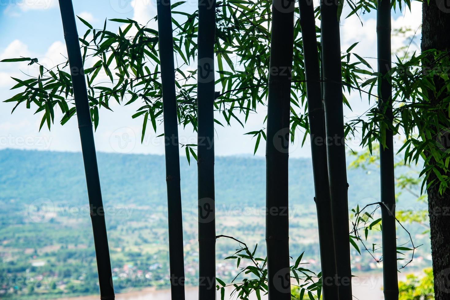 o bambu da silhueta com a vista superior de nong khai provice, tailândia foto