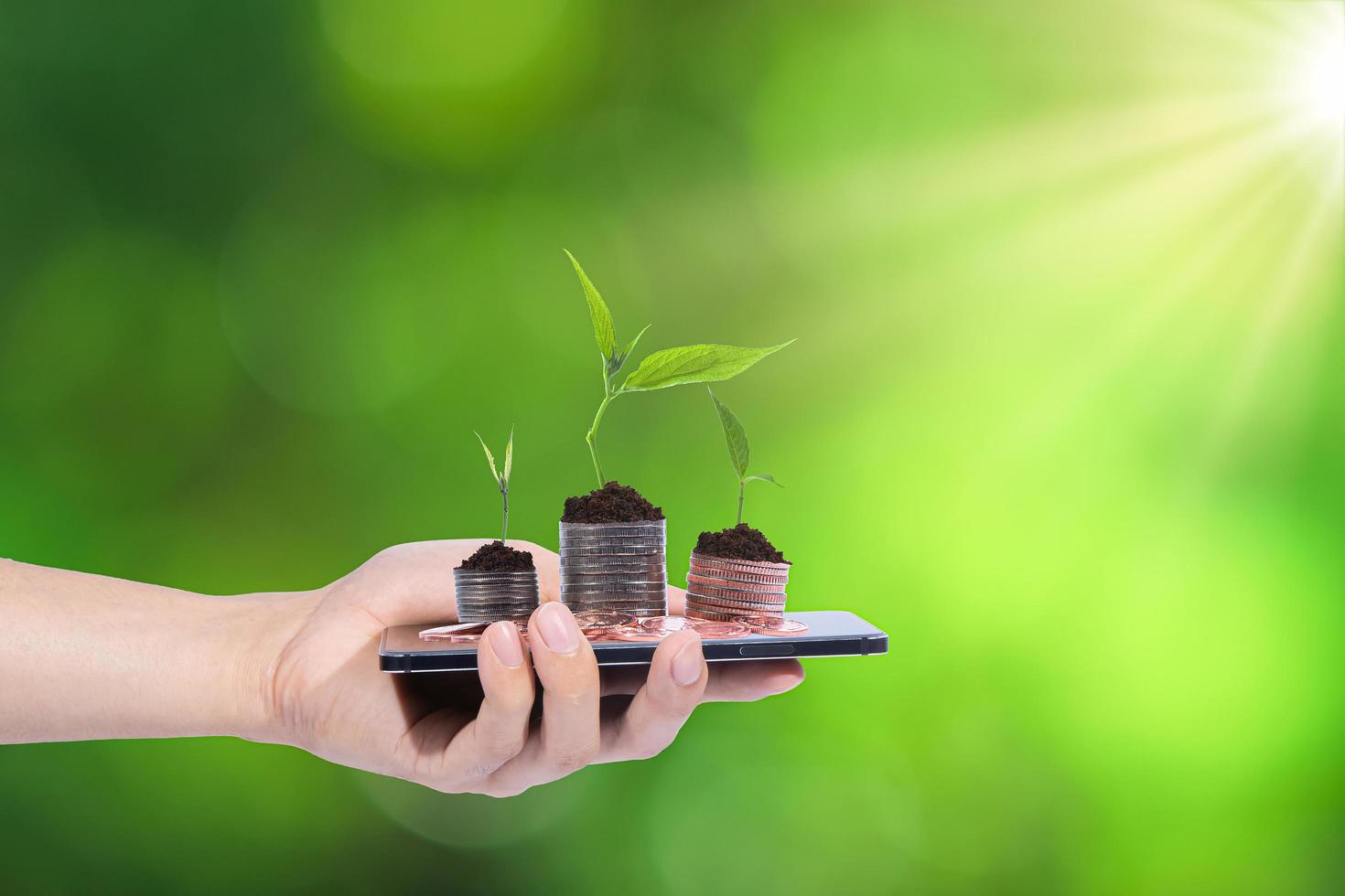 mão segurando smartphone com moedas e plantas foto