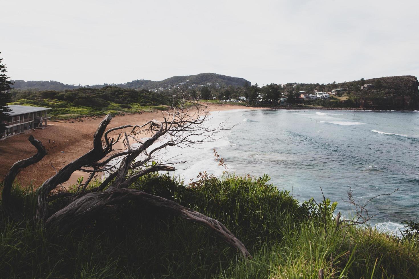 sydney, austrália, 2020 - dia nublado na praia foto