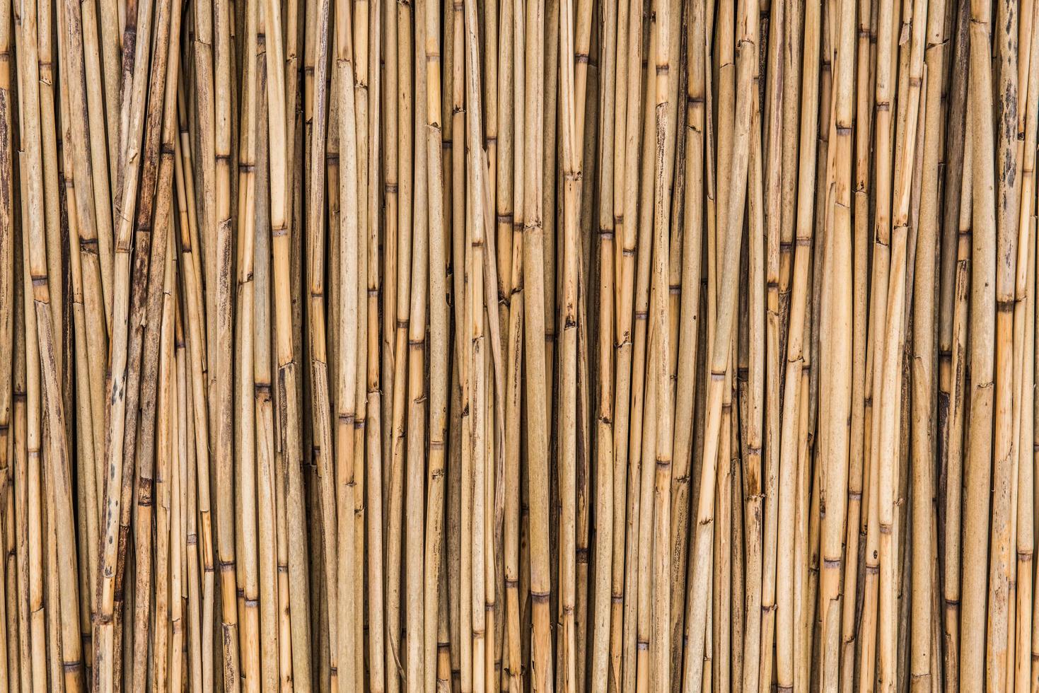 fundo de vara de bambu foto