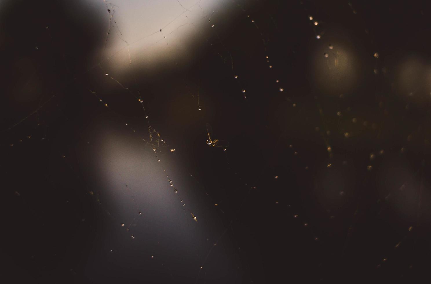 gotas de chuva em uma janela escura foto