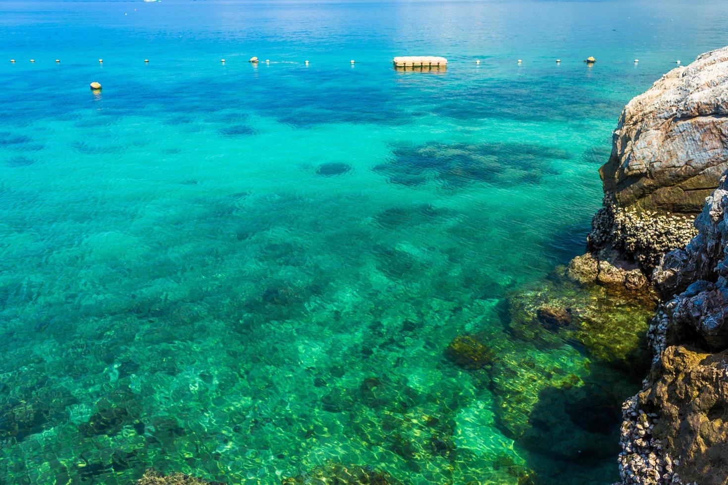 oceano tropical durante o dia foto