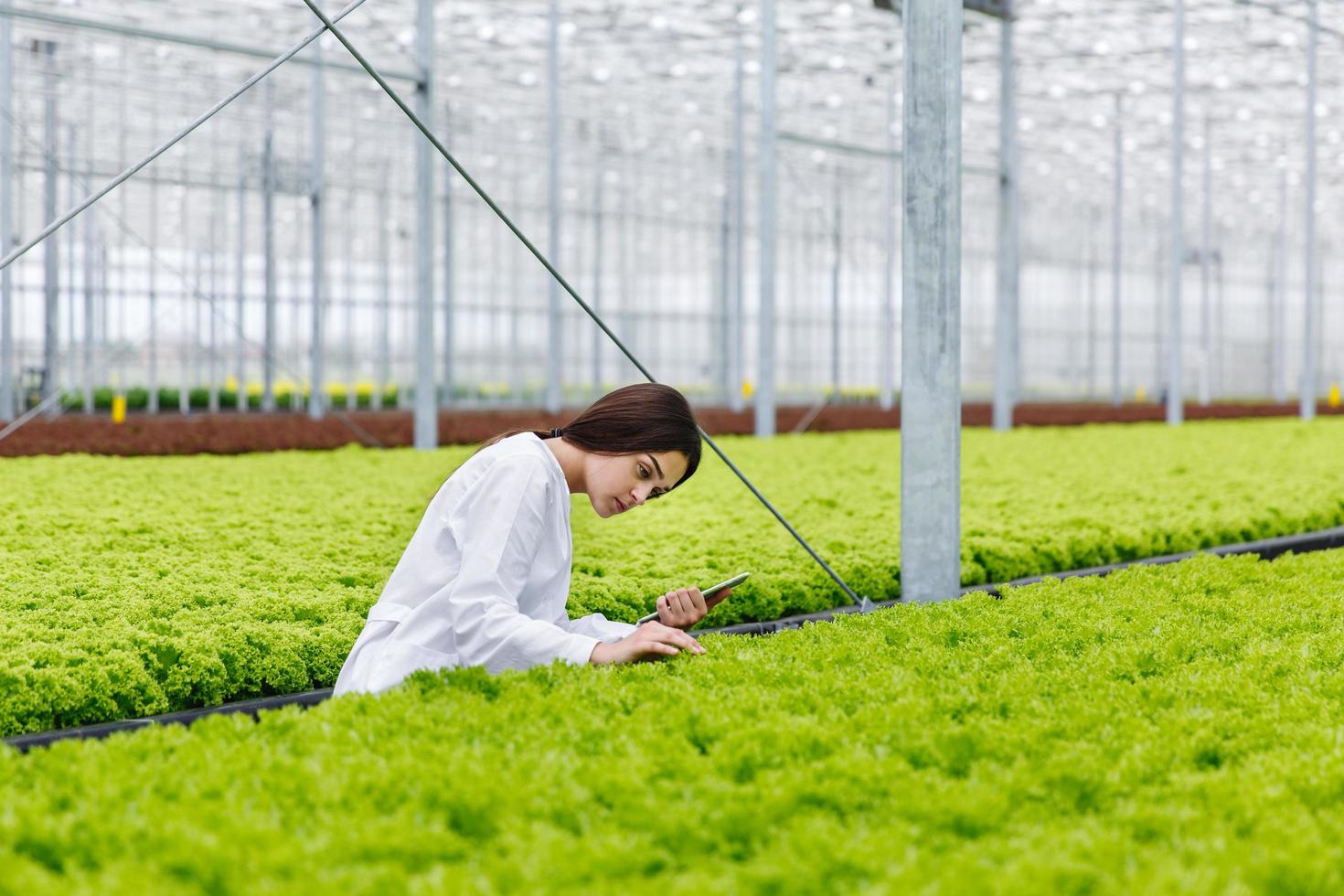 pesquisadora estudando plantas na casa greeen foto