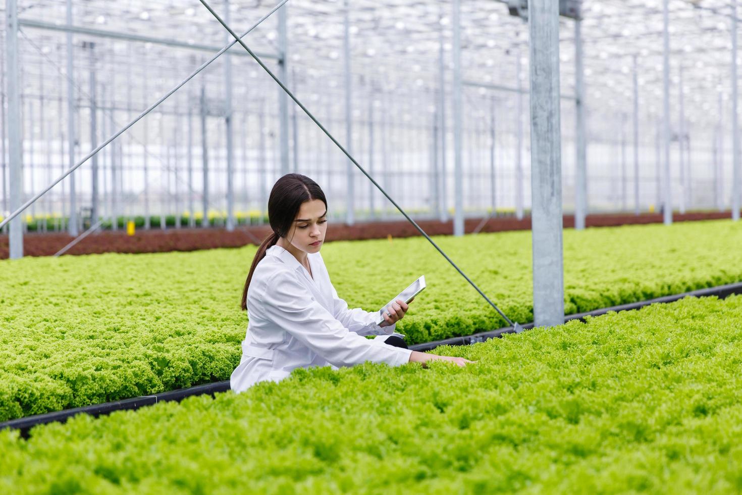 pesquisadora estudando plantas na casa greeen foto