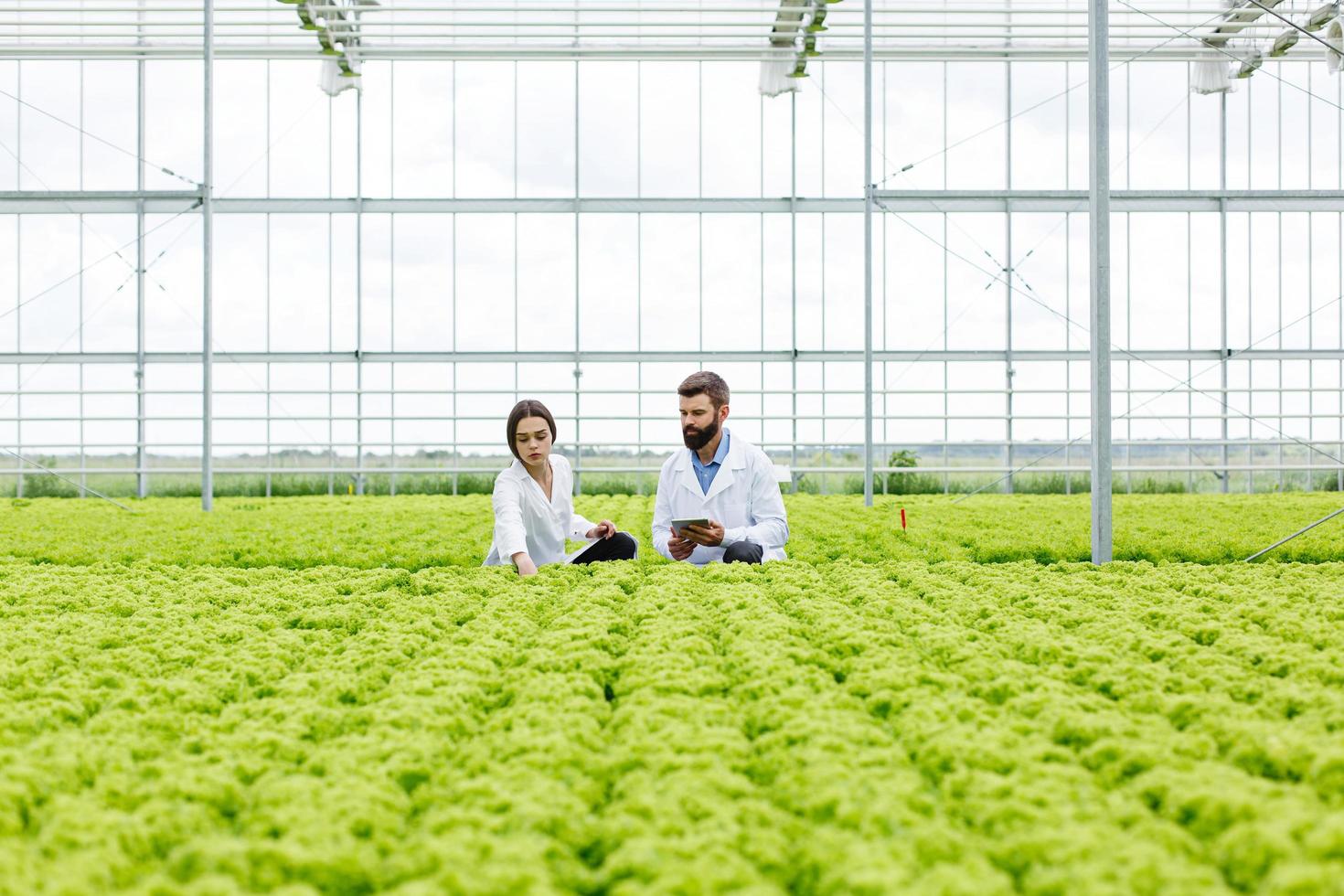 dois cientistas monitorando casa verde foto