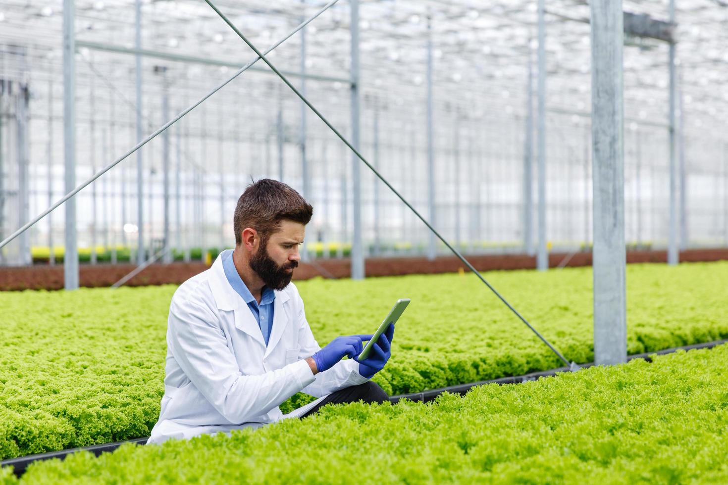 pesquisador masculino estudando plantas foto