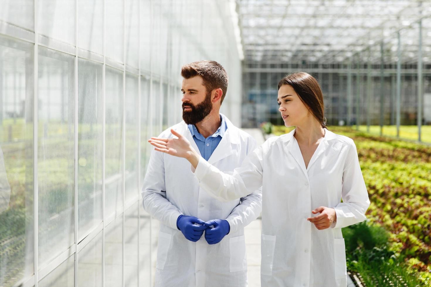 dois pesquisadores em vestes de laboratório caminham ao redor da estufa foto