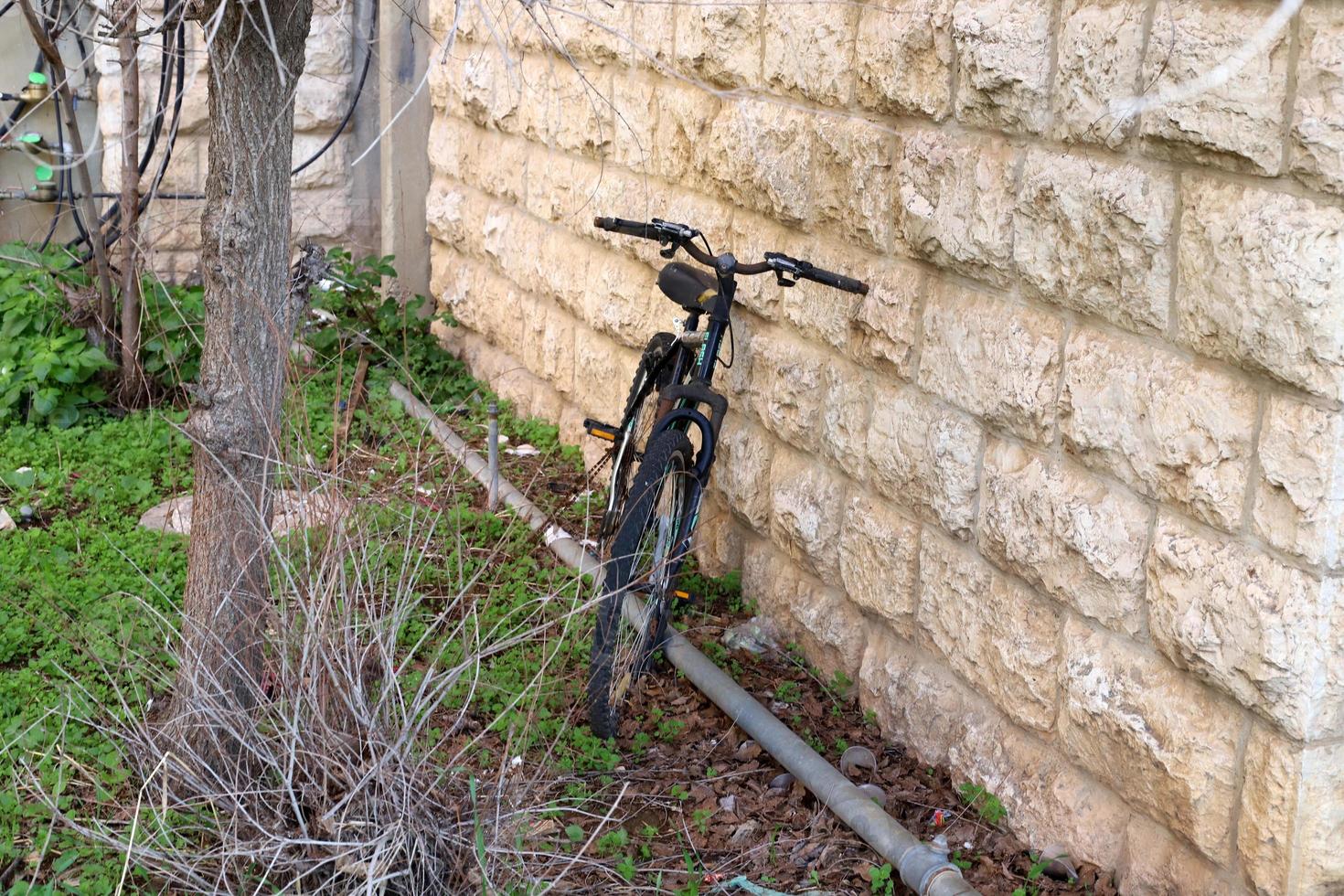 bicicleta no parque da cidade perto do mar. foto