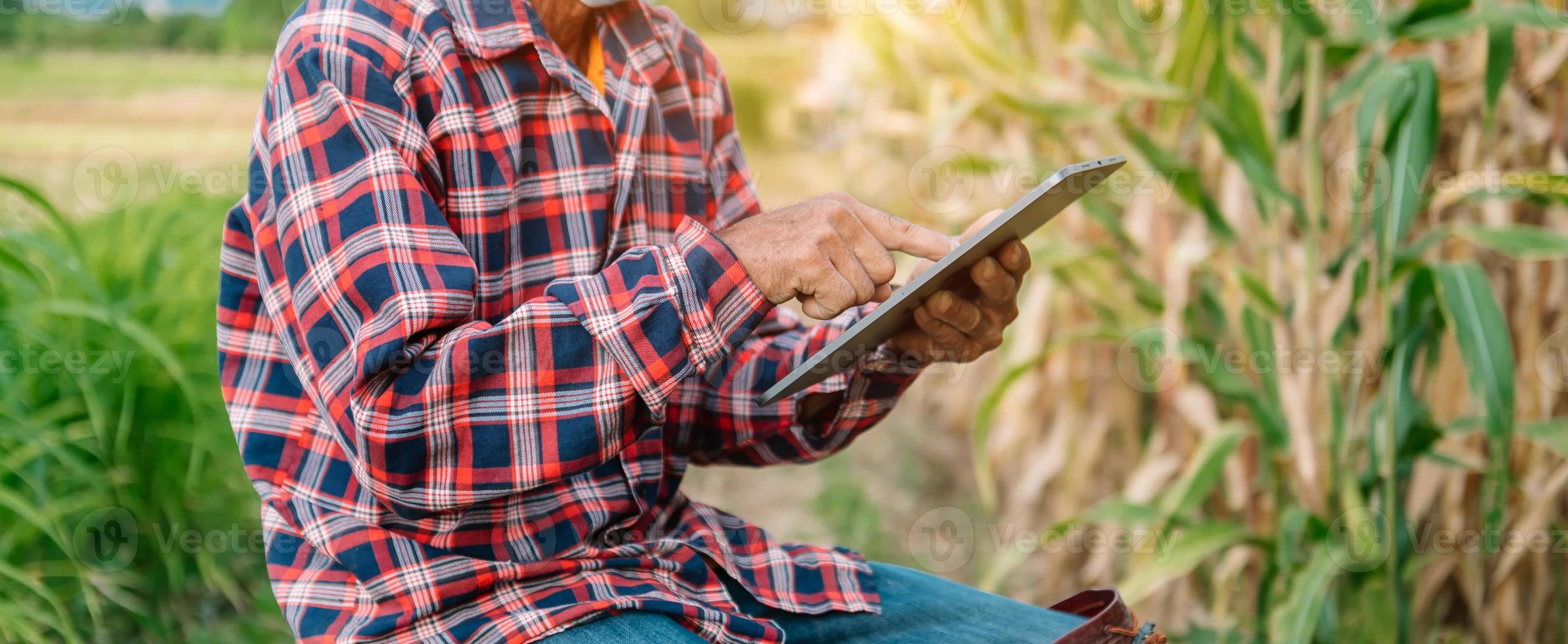 mulher agricultora usando computador tablet digital em campo, aplicação de tecnologia na atividade de cultivo agrícola foto