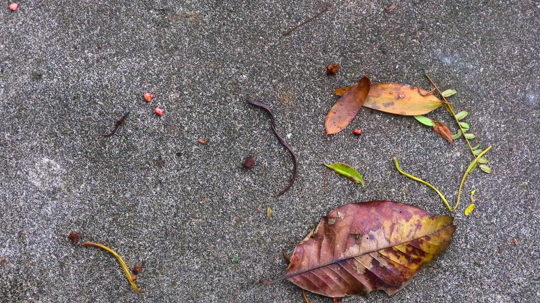 textura de estrada de concreto com folhas caindo foto