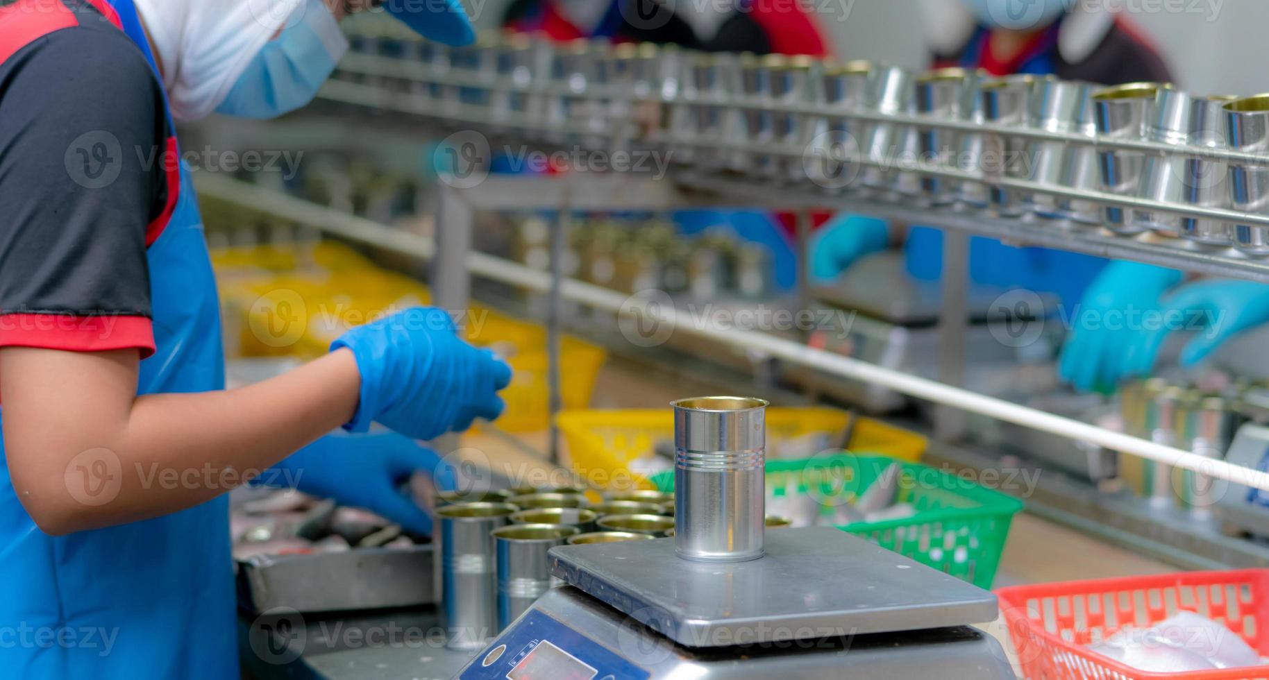 trabalhador que trabalha na fábrica de alimentos enlatados. indústria alimentícia. fábrica de conservas de peixe. trabalhadores pesando sardinhas em latas em uma balança. trabalhador na linha de produção de processamento de alimentos. indústria de fabricação de alimentos. foto