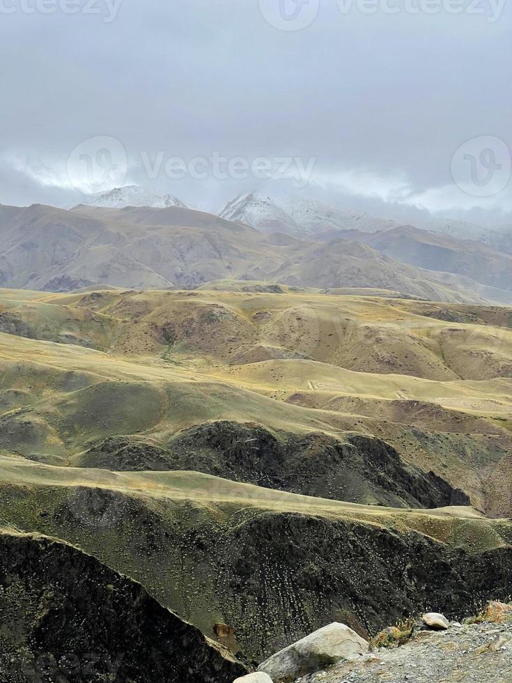 montanhas de veludo amarelo de altai, rússia foto