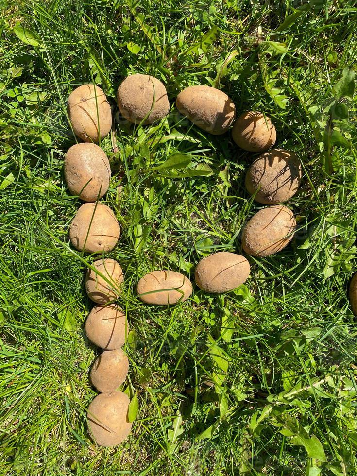 letra p feita de batatas amiláceas saudáveis maduras saborosas amarelas naturais frescas no chão na grama verde. o fundo foto