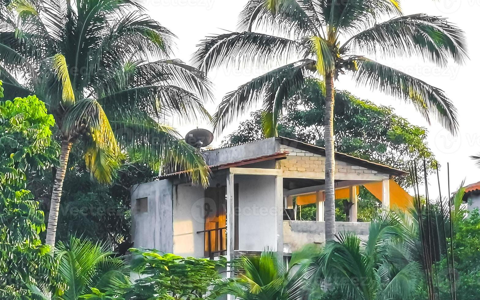 hotéis resorts edifícios no paraíso entre palmeiras puerto escondido. foto