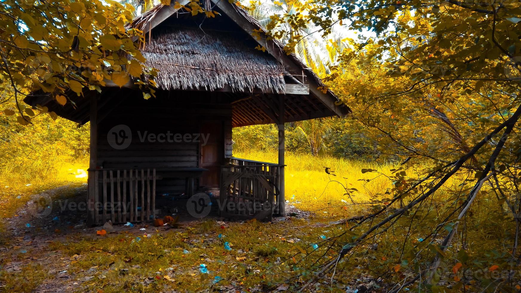 cabana abandonada na floresta com folhas amarelas foto