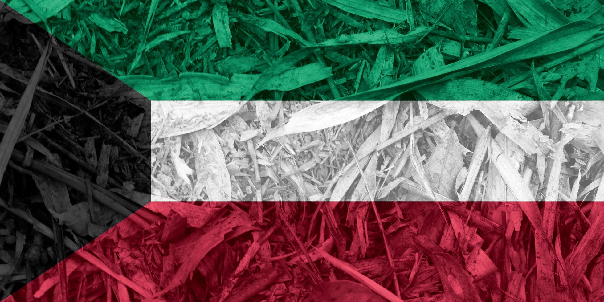 textura da bandeira do Kuwait como plano de fundo foto