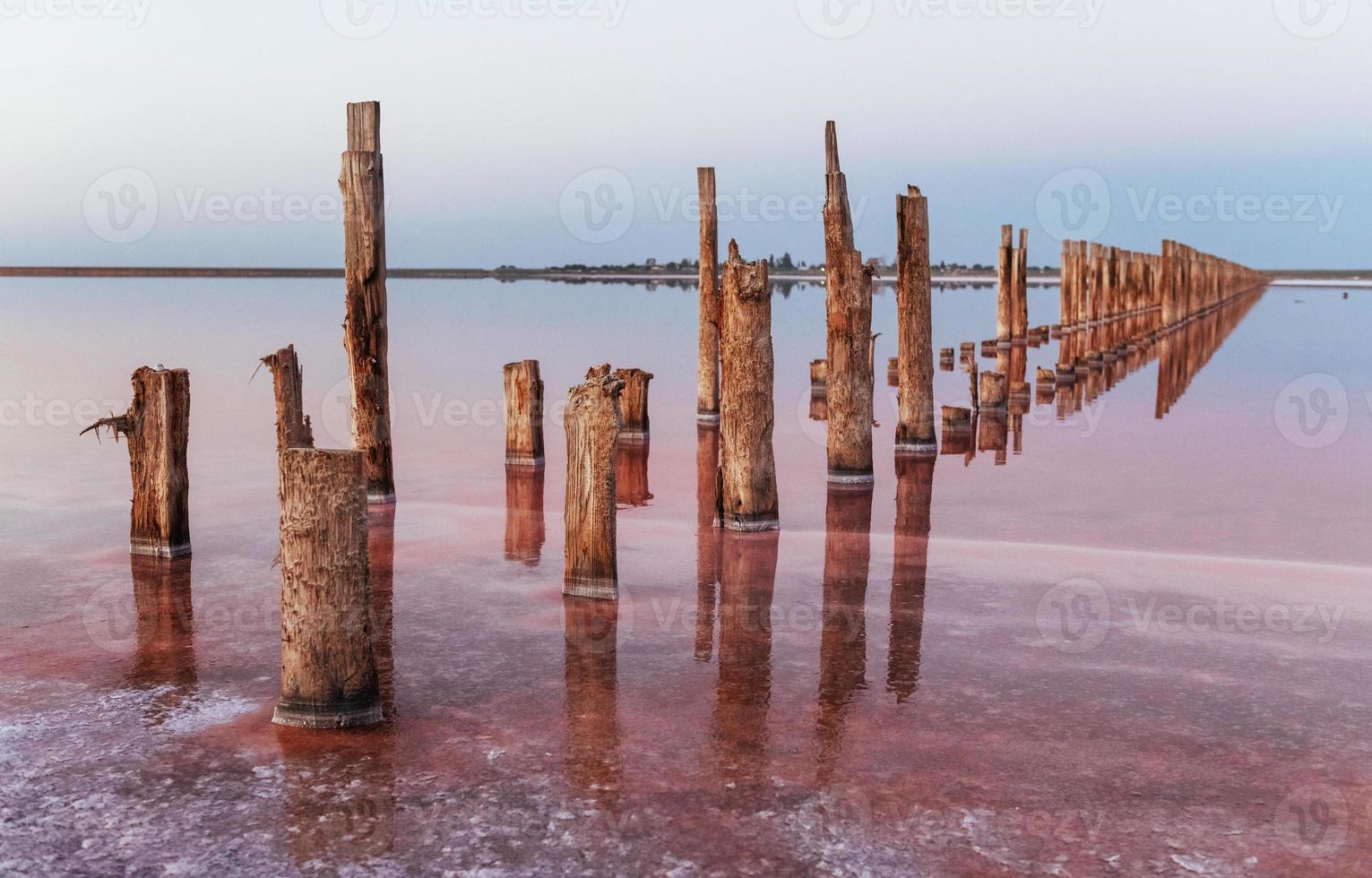 obstáculos de madeira no mar da ilha de jarilgach, ucrânia. durante o dia foto