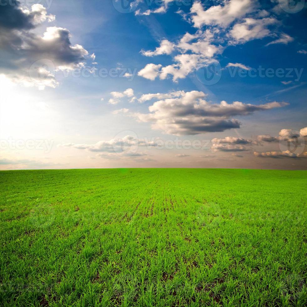 céu dramático sobre campo verde foto