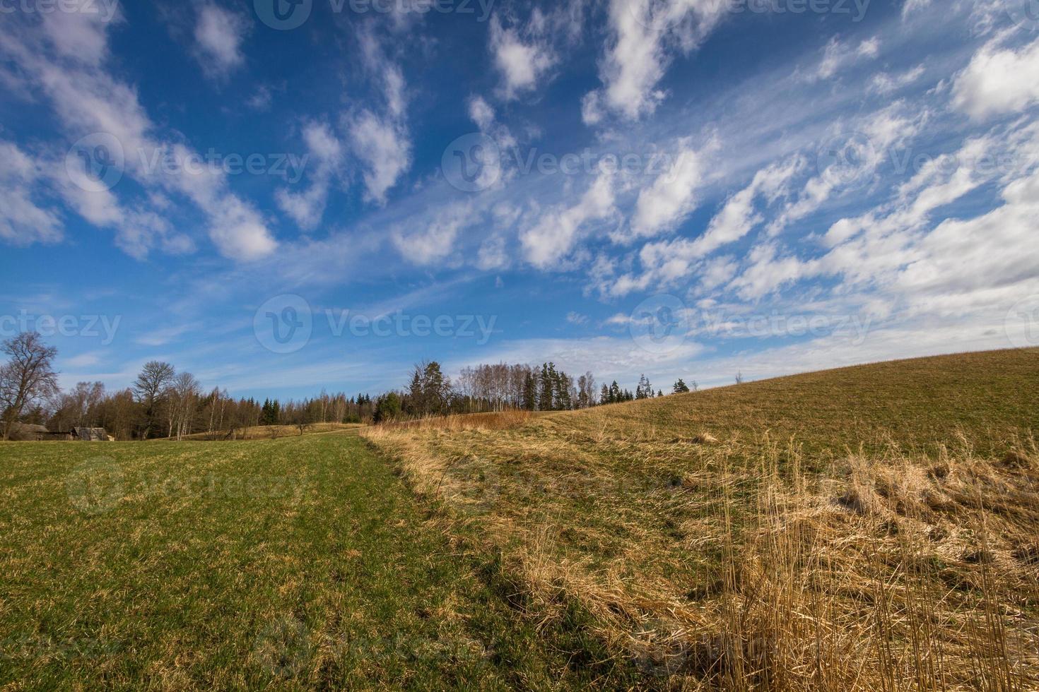 paisagens de primavera com nuvens foto