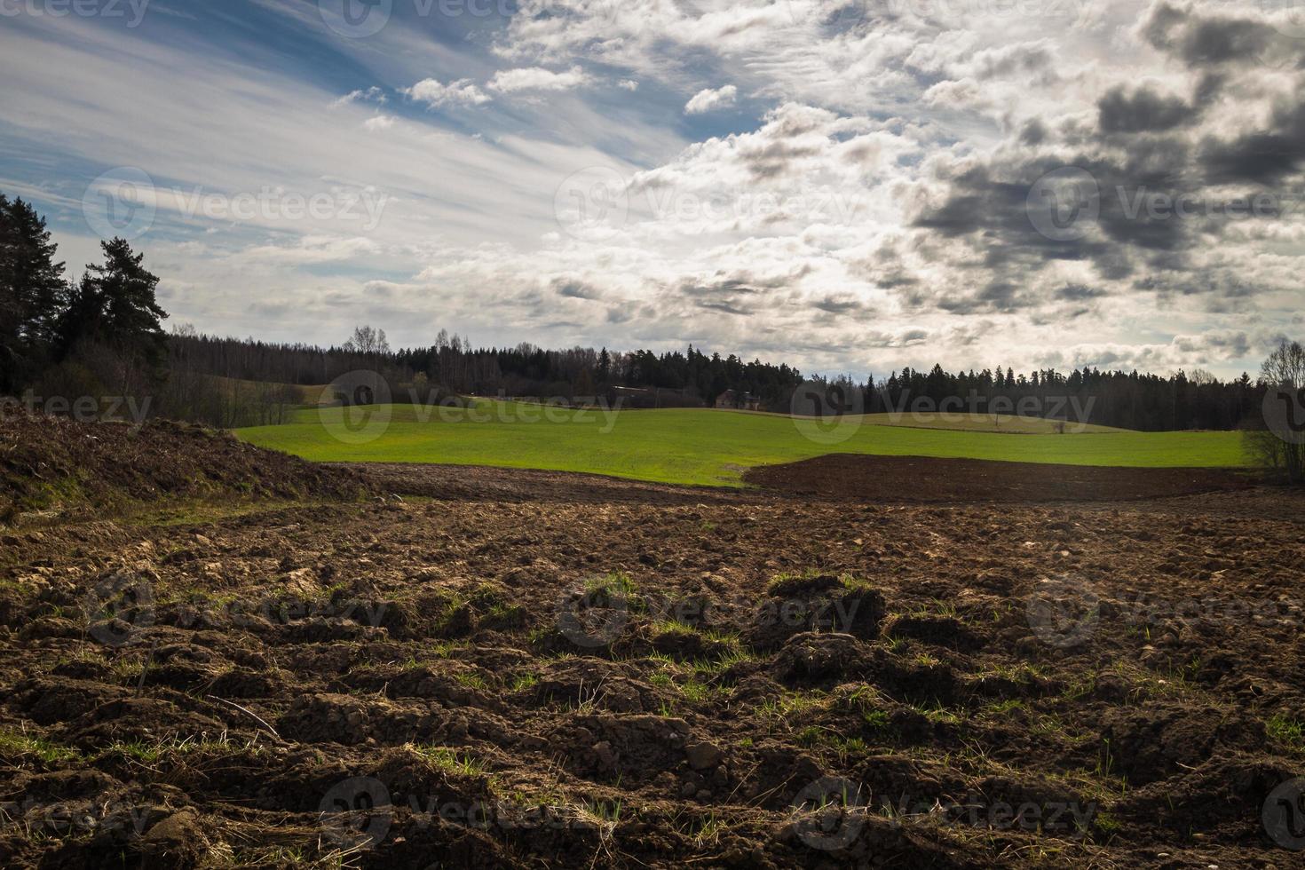 paisagens de primavera com nuvens foto