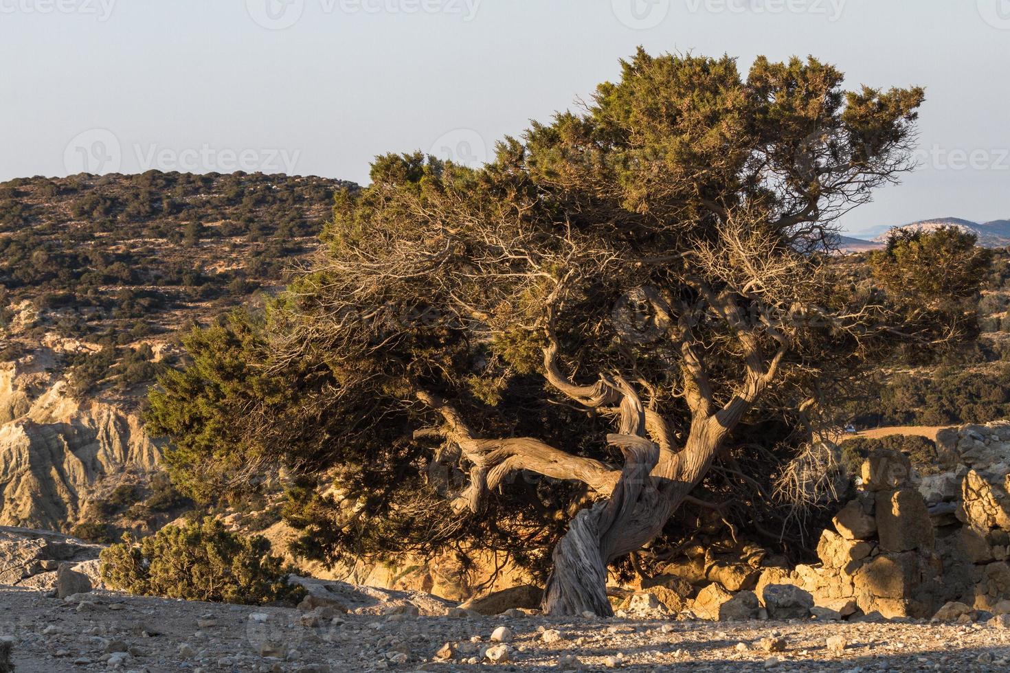 paisagens de microcíclades, grécia foto