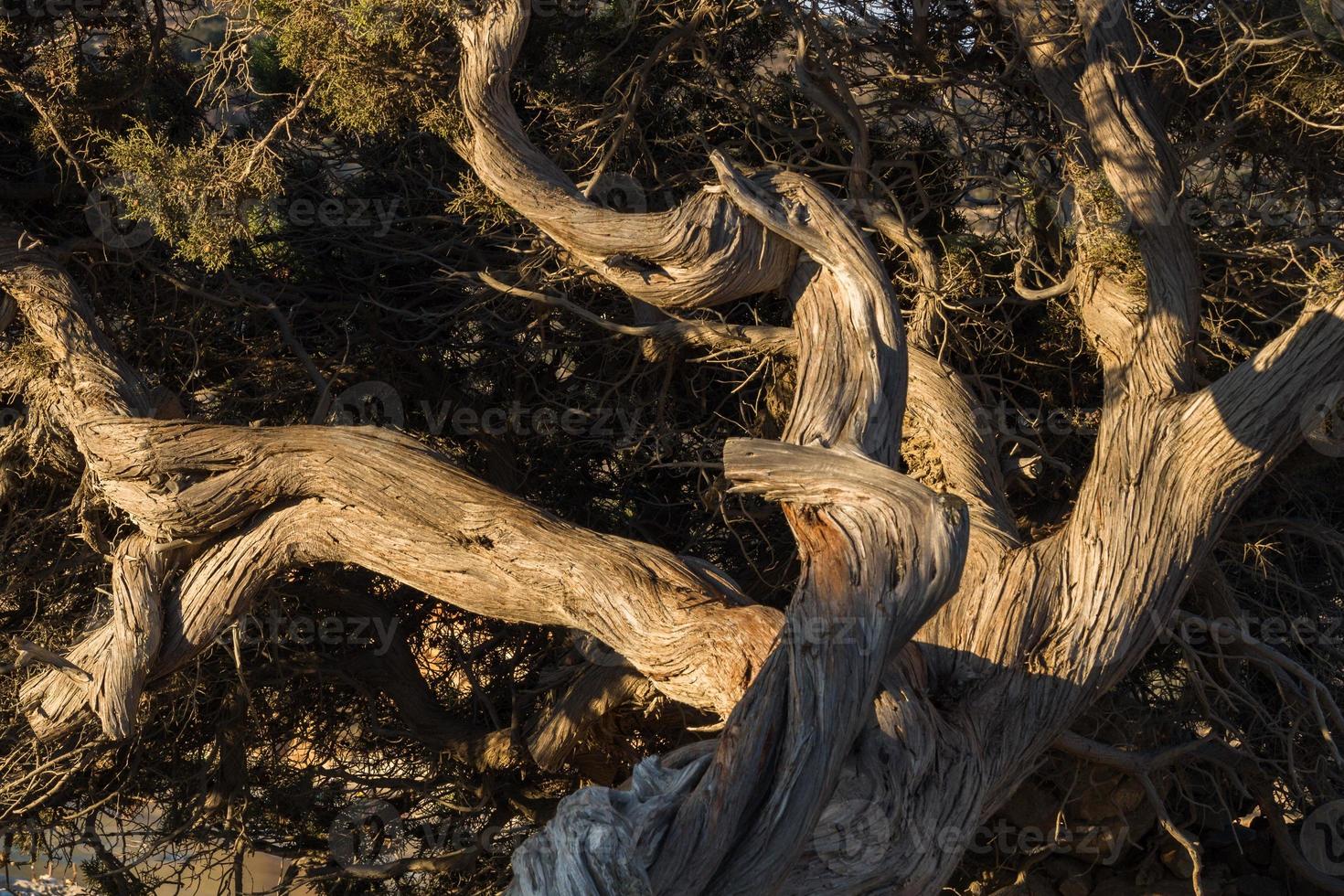 paisagens de microcíclades, grécia foto